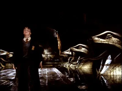 Où est l'entrée de la chambre des secrets ?