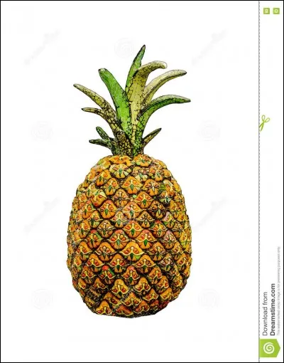 Comment dit-on "ananas" en malgache ?