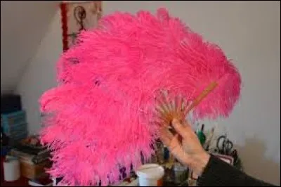 Affection caractérisée par des crises convulsives avec perte de connaissance !