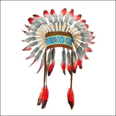 Comment s'appelle l'Indien qui était au service du vieux Baddye?