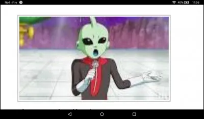 Quel est son rôle par rapport au tournoi ?