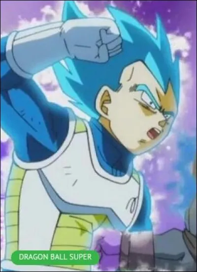 De qui Végéta vient-il de se prendre un coup ?