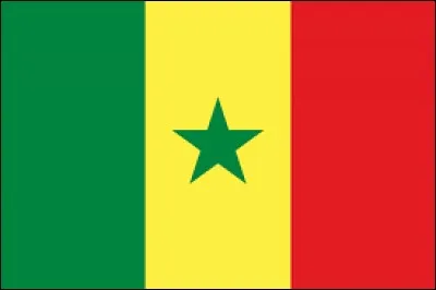 Ce drapeau est celui de la Jamaïque.