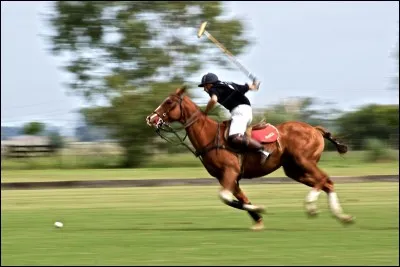 Le diamètre d'une balle de polo est de 10,5 cm.