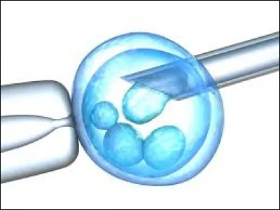 Est-il vrai que la première insémination artificielle se fit sur une vache en 1781 ?