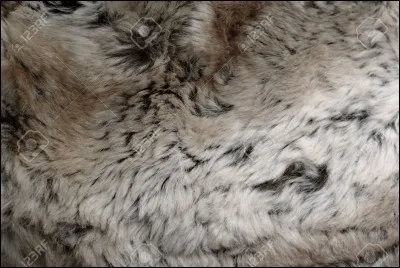 Quel lapin est utilisé pour sa fourrure ?