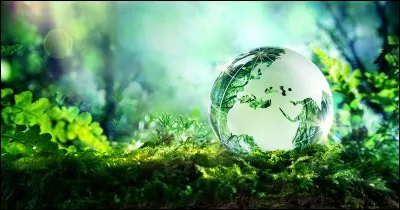 Quel jour la journée mondiale de l'environnement a-t-elle lieu ?