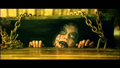 Dans ''Evil Dead'' , comment s'appelle la première fille qui se fait posséder ?