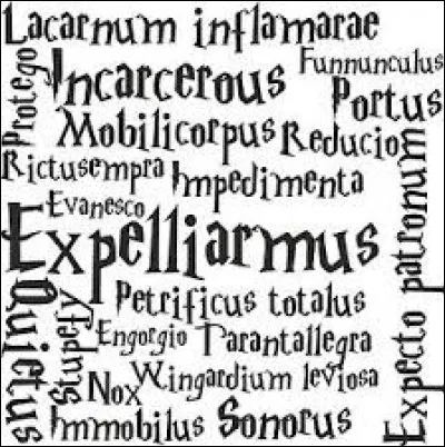 Quel est ton sort pr&eacute;f&eacute;r&eacute; dans le ''Livre des sorts et enchantements'' ?