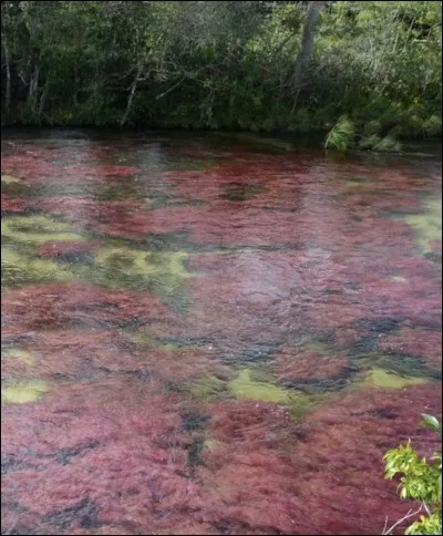 Cette rivière particulière se visite...