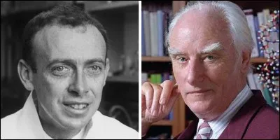 Quand un Américain et un Britannique annoncent-ils la découverte de l'ADN ?