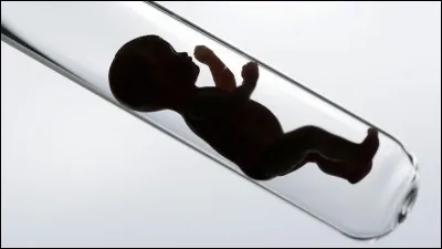 Quand le premier bébé-éprouvette est-il né ?