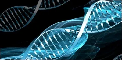 En 1997, deux britanniques clonent...