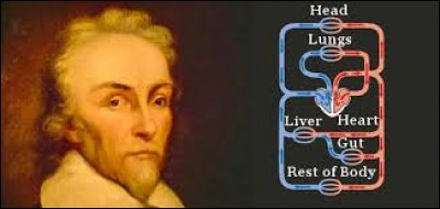 Quand l'Anglais William Harvey découvre-t-il le fonctionnement de la circulation du sang ?