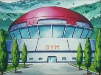 Lequel de ces rivaux devient champion d'arène dans la version suivant son apparition ?