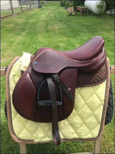 Qu'est-ce qui n'existe pas comme partie de la selle ?