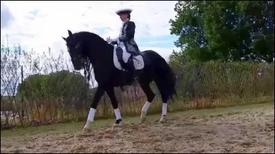 Explique le mécanisme du pas.