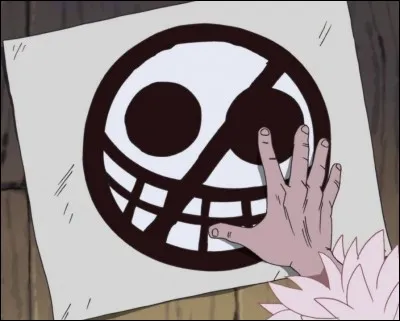 Quels sont les surnoms de Doflamingo ?
