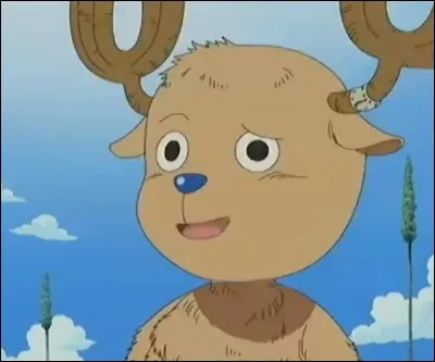 Quel est le surnom de Chopper ?