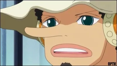 Quels sont les surnoms d'Usopp ?