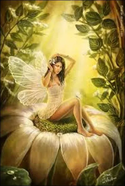 Aimes-tu les fées ?