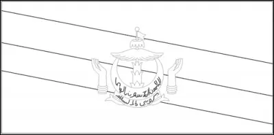 Quelles couleurs doit-on mettre à ce drapeau ?