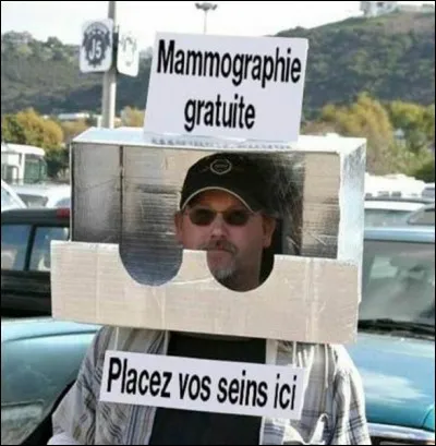 Terminez la citation de Vincent Roca : C'est curieux, se faire refaire les seins, ...