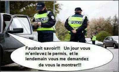 Réponse réelle donnée à un examen du permis de conduire en Californie : Vous arrêtez-vous quand un piéton aveugle traverse la route ?