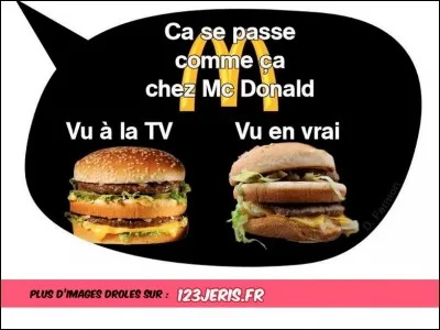 Réponse d'un candidat Mac Do à l'entretien d'embauche. Position demandée :