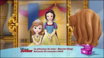 Raiponse et Blanche-Neige sont originaires d'Allemagne, de Bavière !