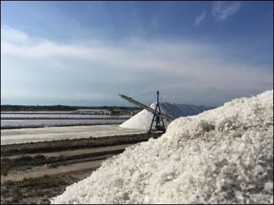 Mettre son grain de ...