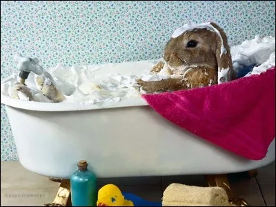 J'espère que vous n'allez pas me dire que ce quiz ne vaut ...