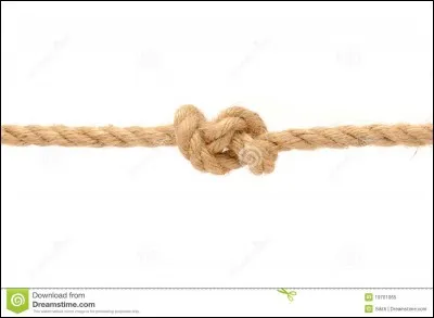 C'est une histoire à la ...