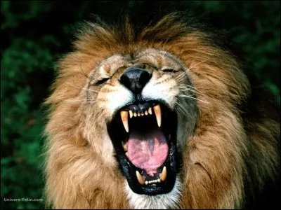 De quoi Carlos a-t-il peur ?