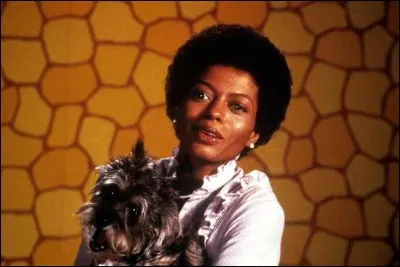 Quelle chanteuse incarnait Dorothy dans le remake du "Magicien d'Oz", intitulé "The Wiz" en 1978 ?