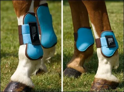 Quelle discipline interdit les guêtres et protèges-boulets en compétition ?