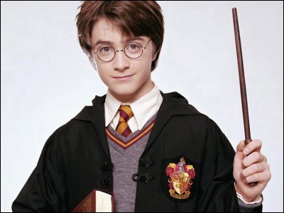 Qui est Harry Potter ?