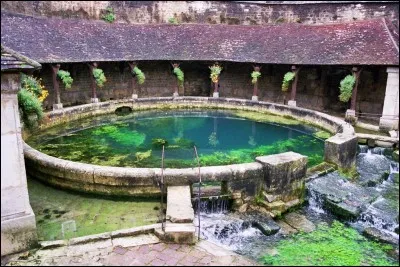 Dans quel département est située la ville de Tonnerre qui a vu naître le chevalier d'Eon ?