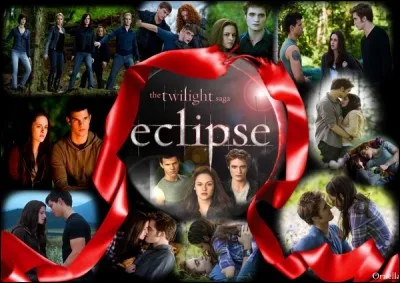 Quel est le couple principal de l'histoire ?