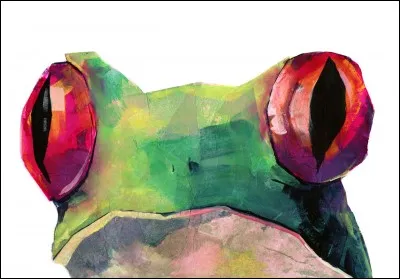 Comment dire "grenouille" en anglais ?