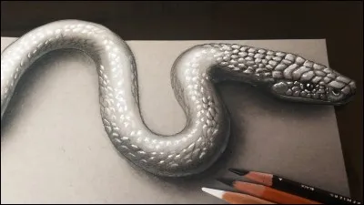 La traduction de "serpent" est...