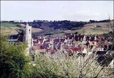 Lequel de ces métiers est représentatif du village d'Irancy (Yonne) ?