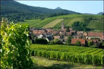 Village viticole alsacien, on peut déguster à Riquewihr (Haut-Rhin) de grands crus. Parmi les trois suivants, lequel désigne un vin blanc d'assemblage.