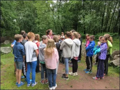 Pour une sortie de classe, tu préfères aller...