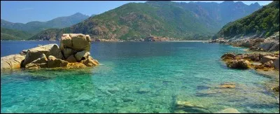 Les s�urs de Bonaparte sont n&eacute;es...