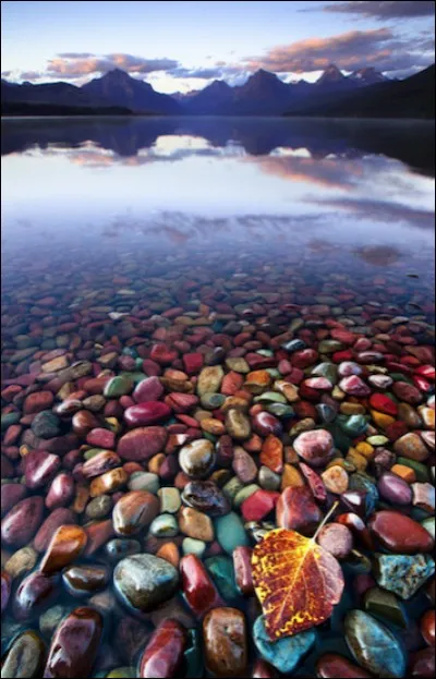 Où cette photo a-t-elle été prise ?