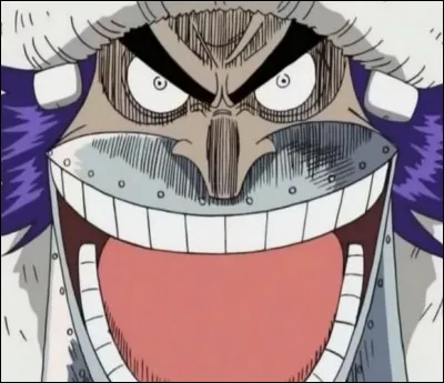 Quelle est l'attaque qui a été utilisée pour vaincre Wapol ?