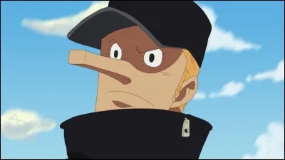 Quelle est l'attaque qui a été utilisée pour vaincre Kaku ?