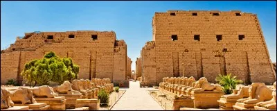 Louxor se situe en/au :