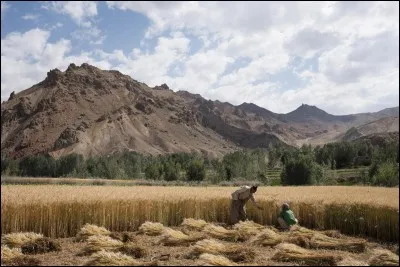 Quelle est la devise du pays ?